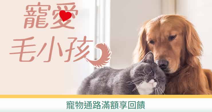 一銀卡於指定寵物通路消費，單筆滿額登錄後贈 NT$100 刷卡金